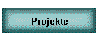 Projekte